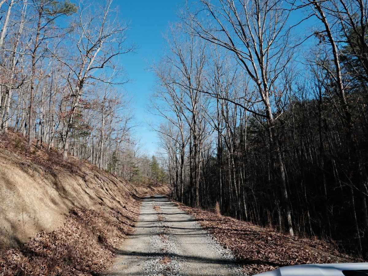 Oi Road trail photo