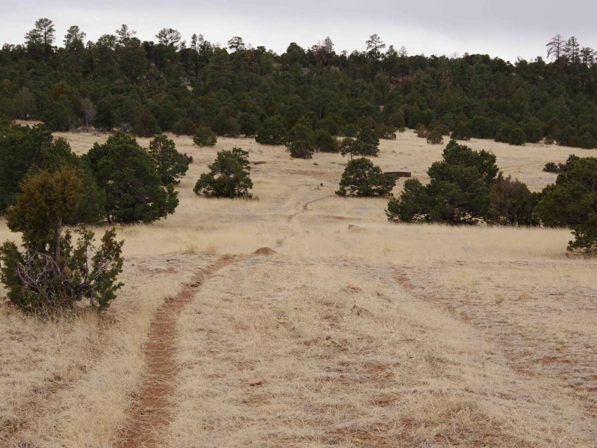 West Mesa Loop photo 6