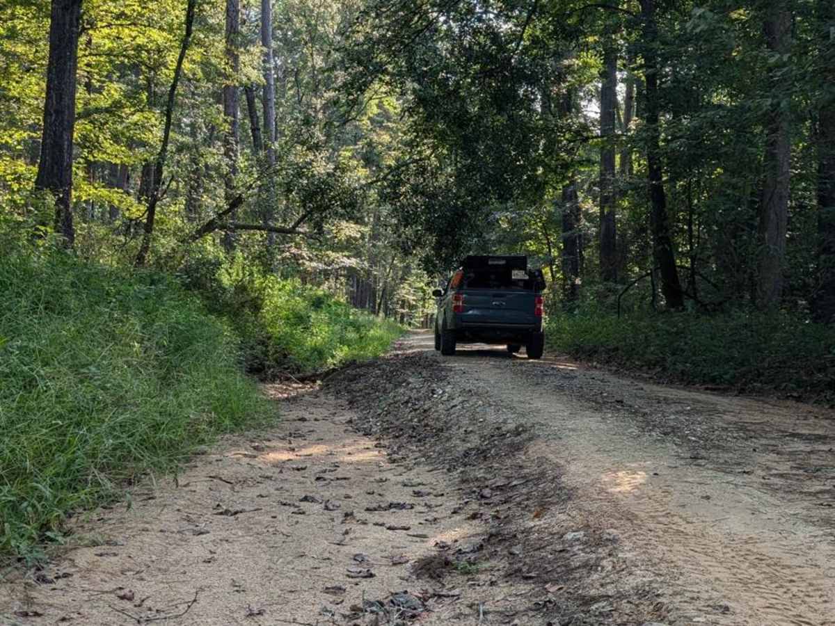 Big Slough Follow-Along photo 4