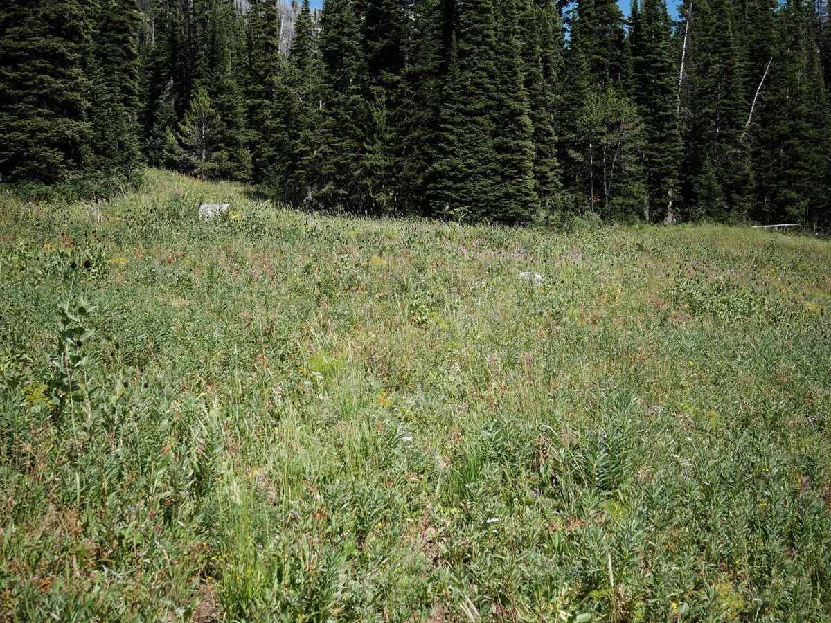 Cabin Creek Cabin photo 6