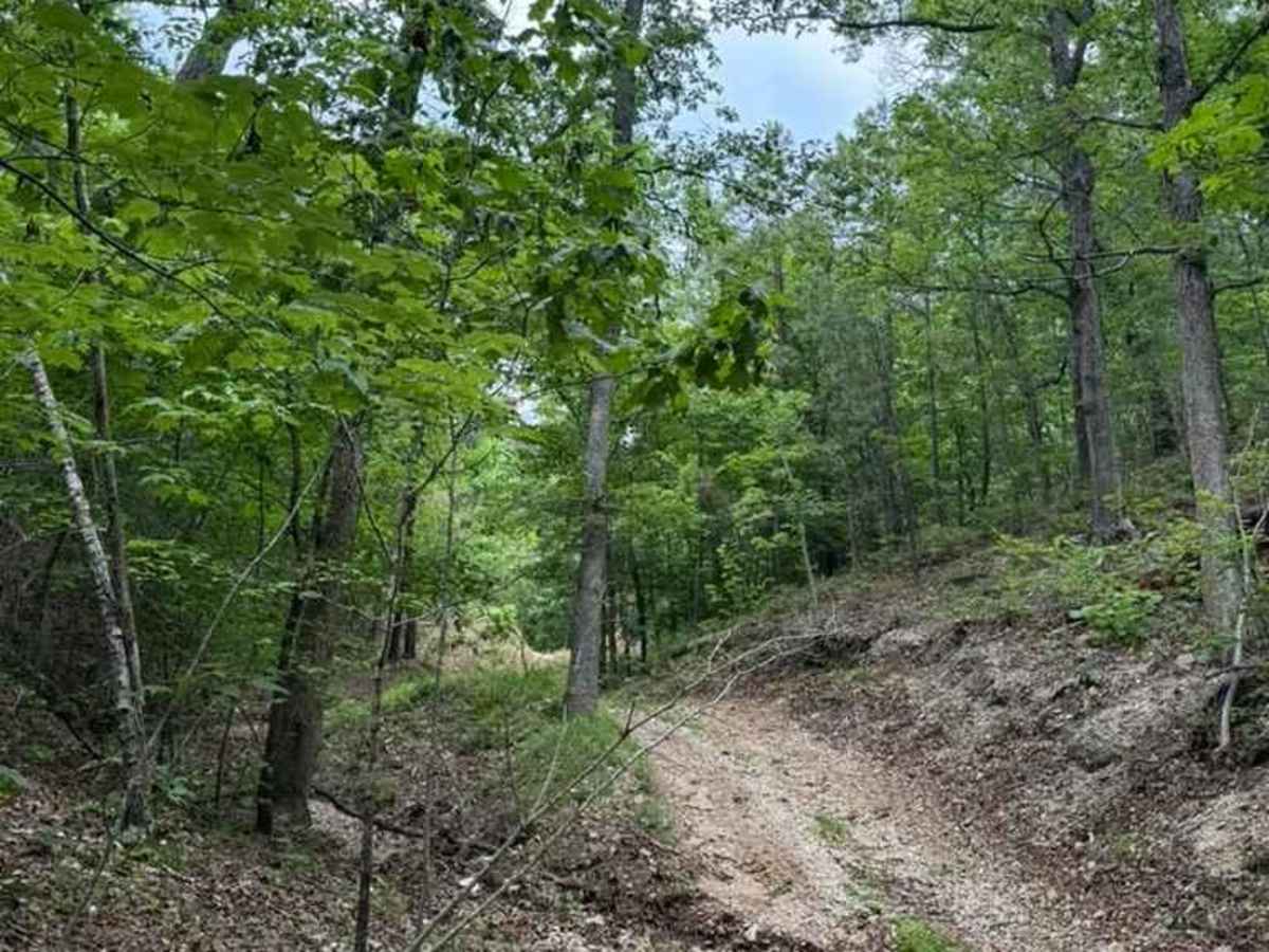 Micheal's Trail photo 6