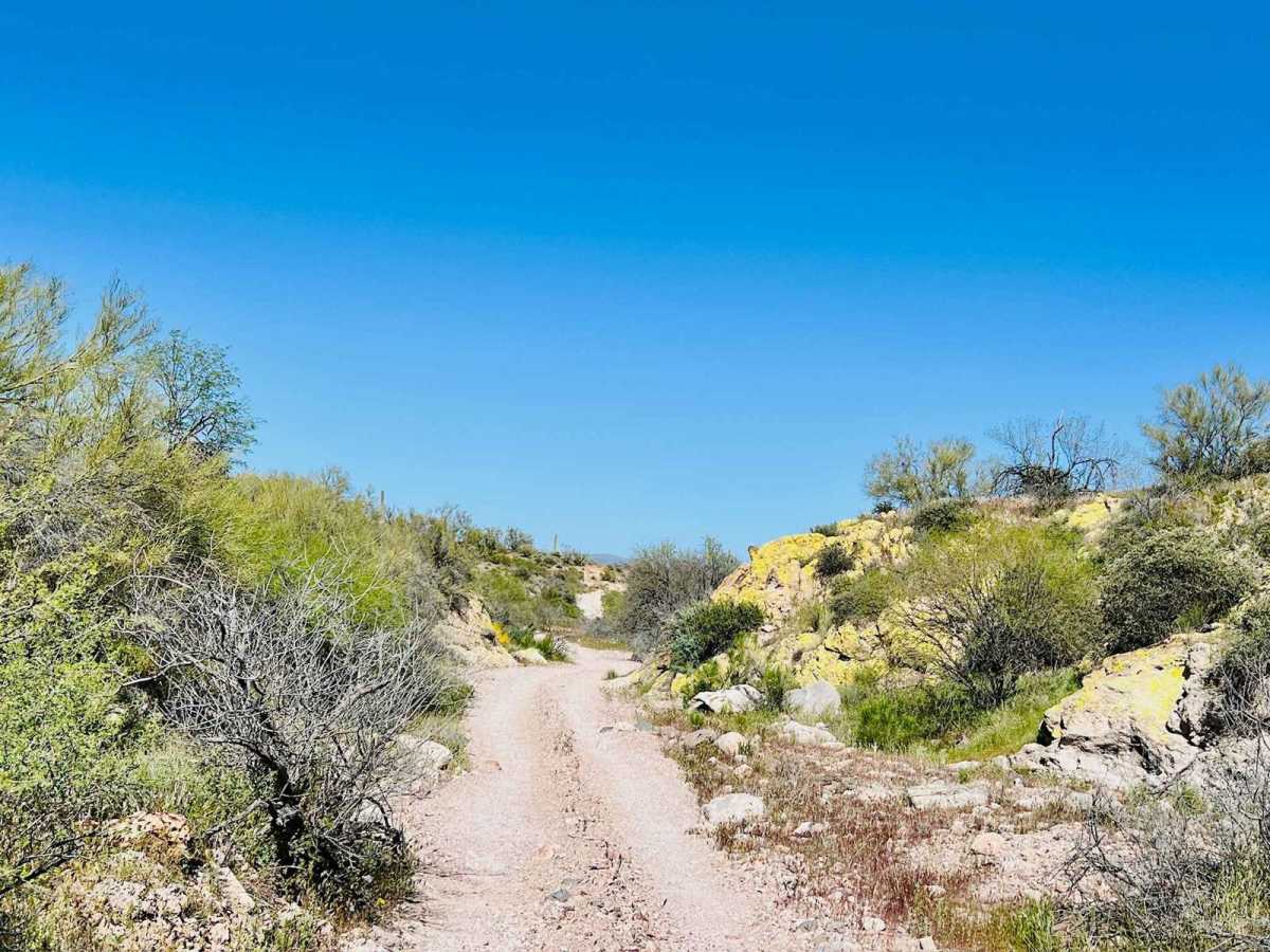 Turtleback Wash photo 6