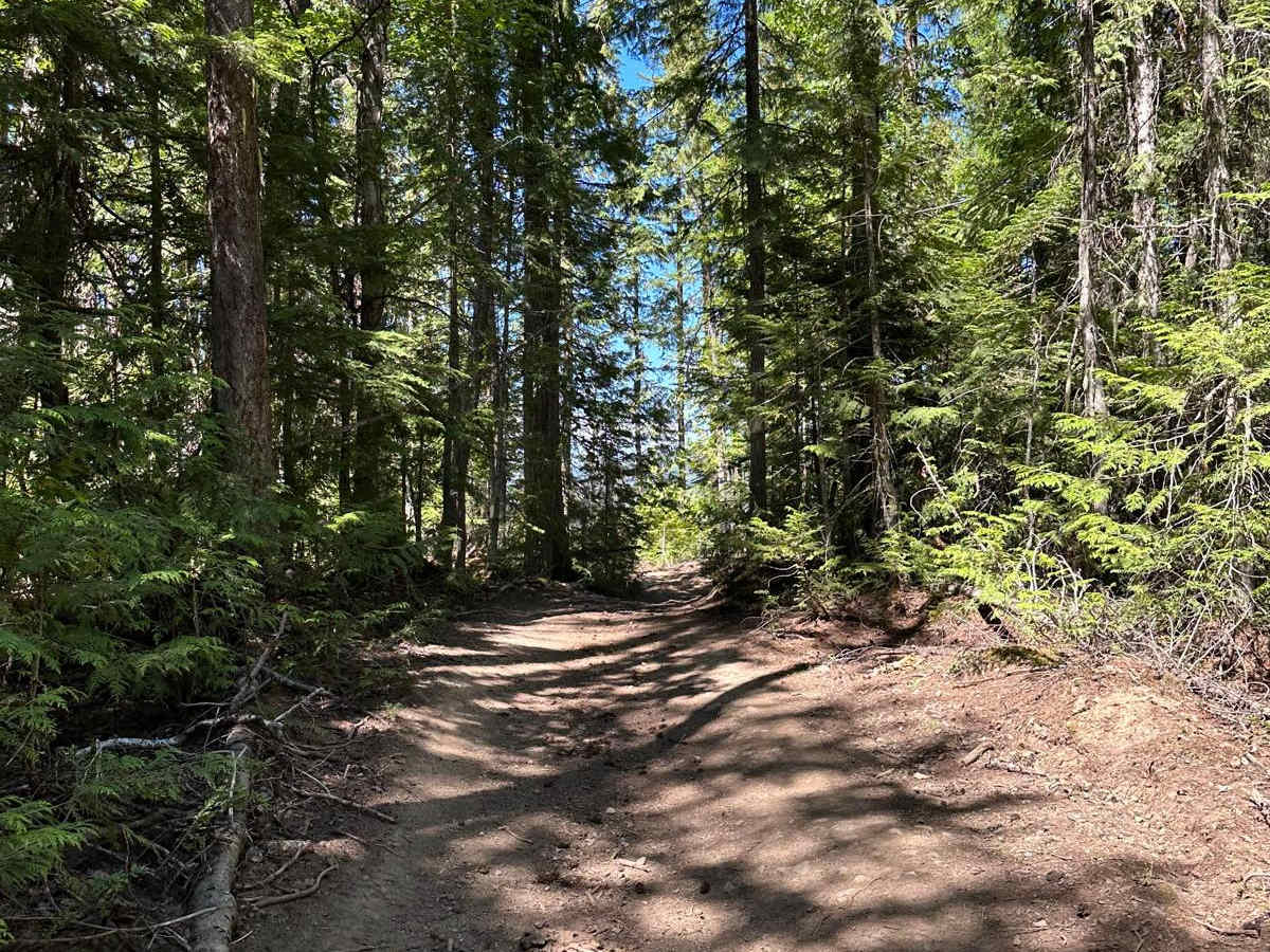 Dixon Climb photo 2