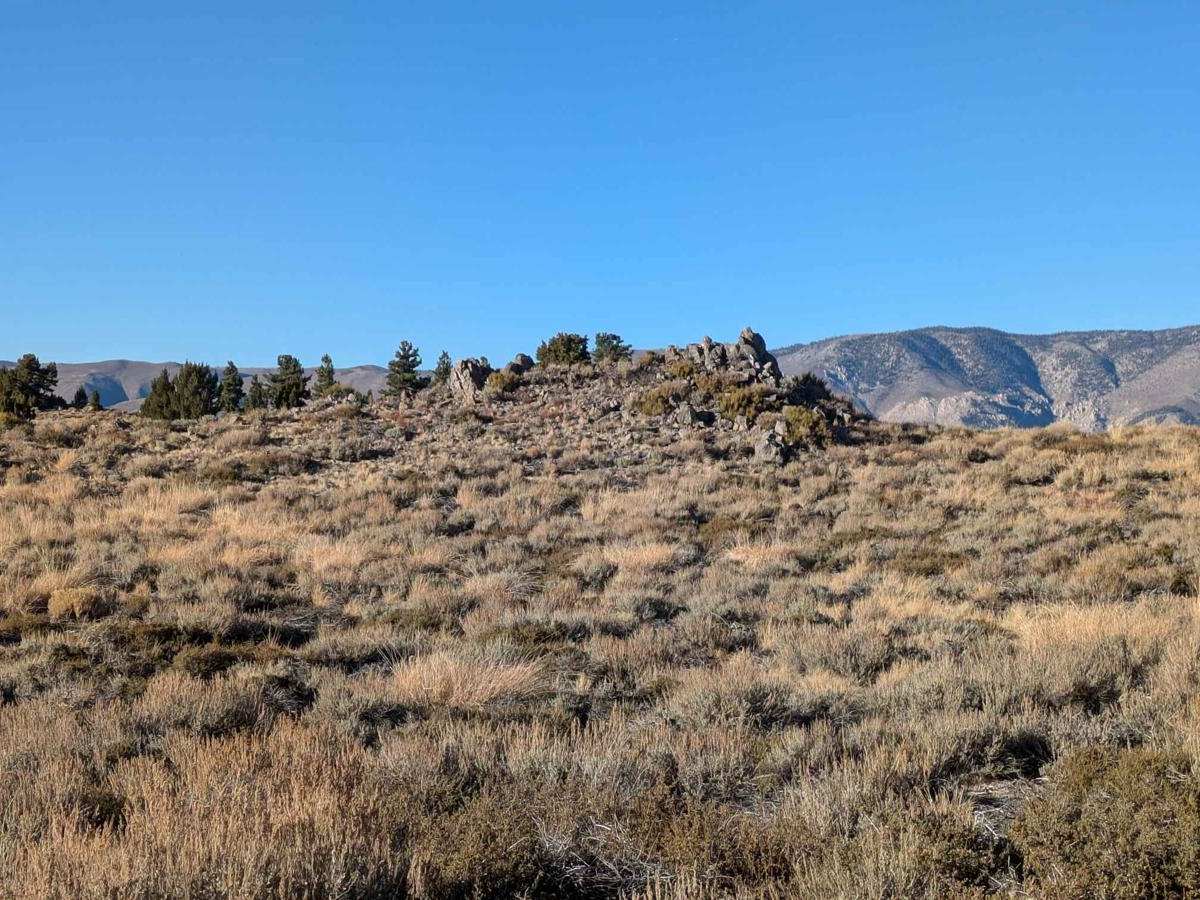 Hot Creek Hatchery Road  photo 4