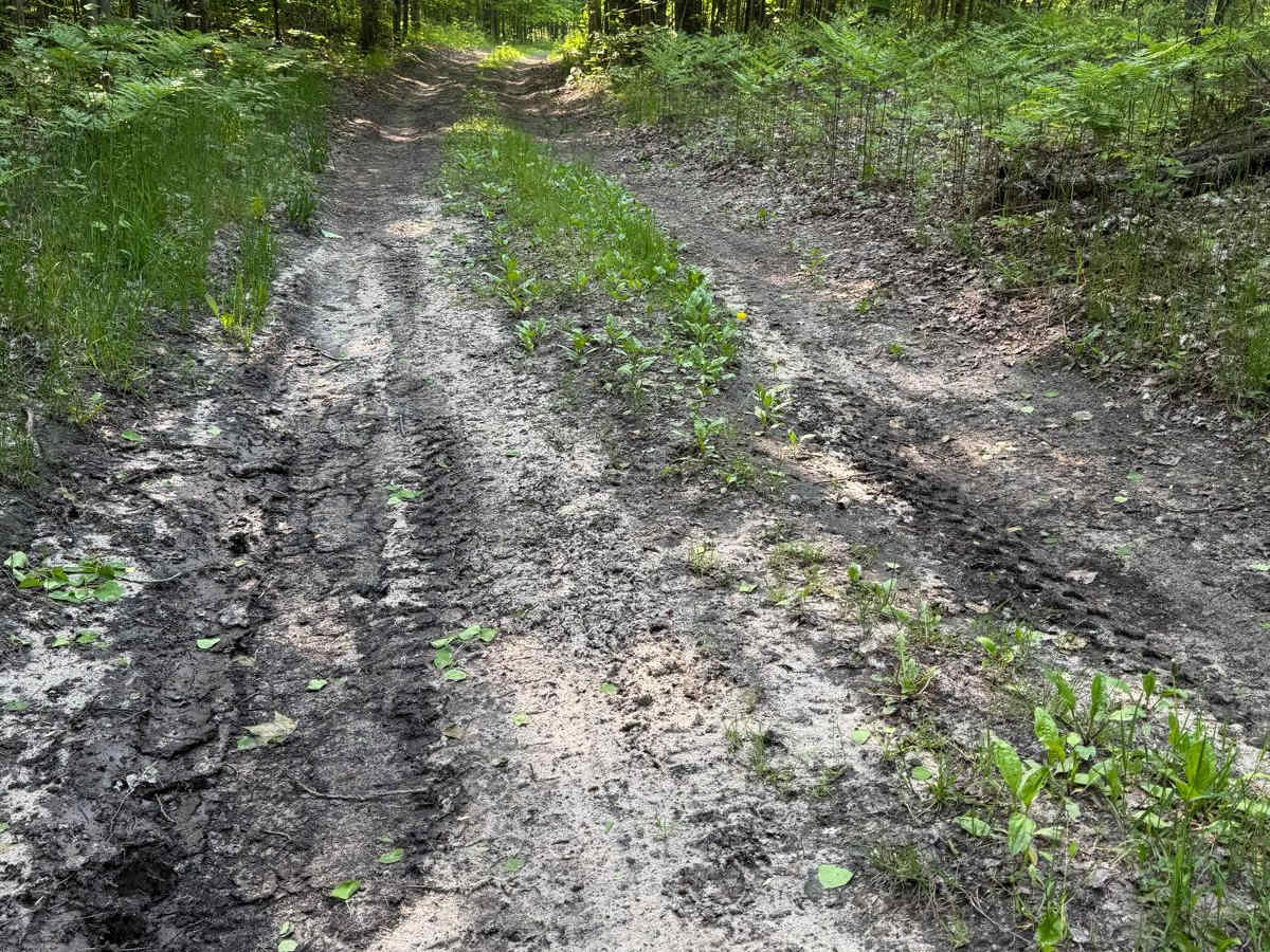 Trail 38 photo 5