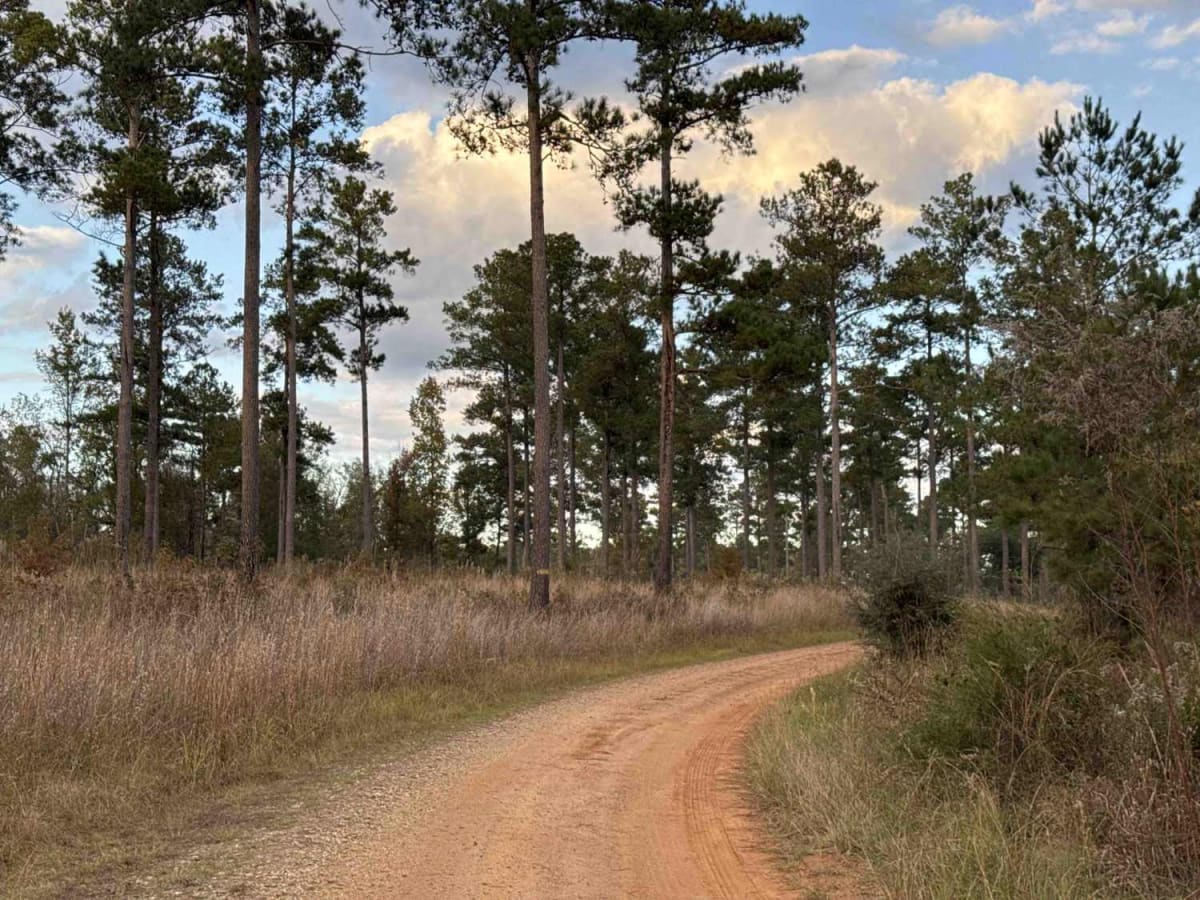 Mud Creek Road photo 4
