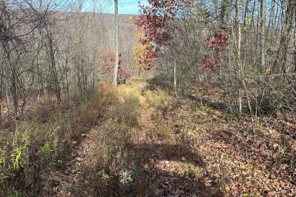 Ashland 163
