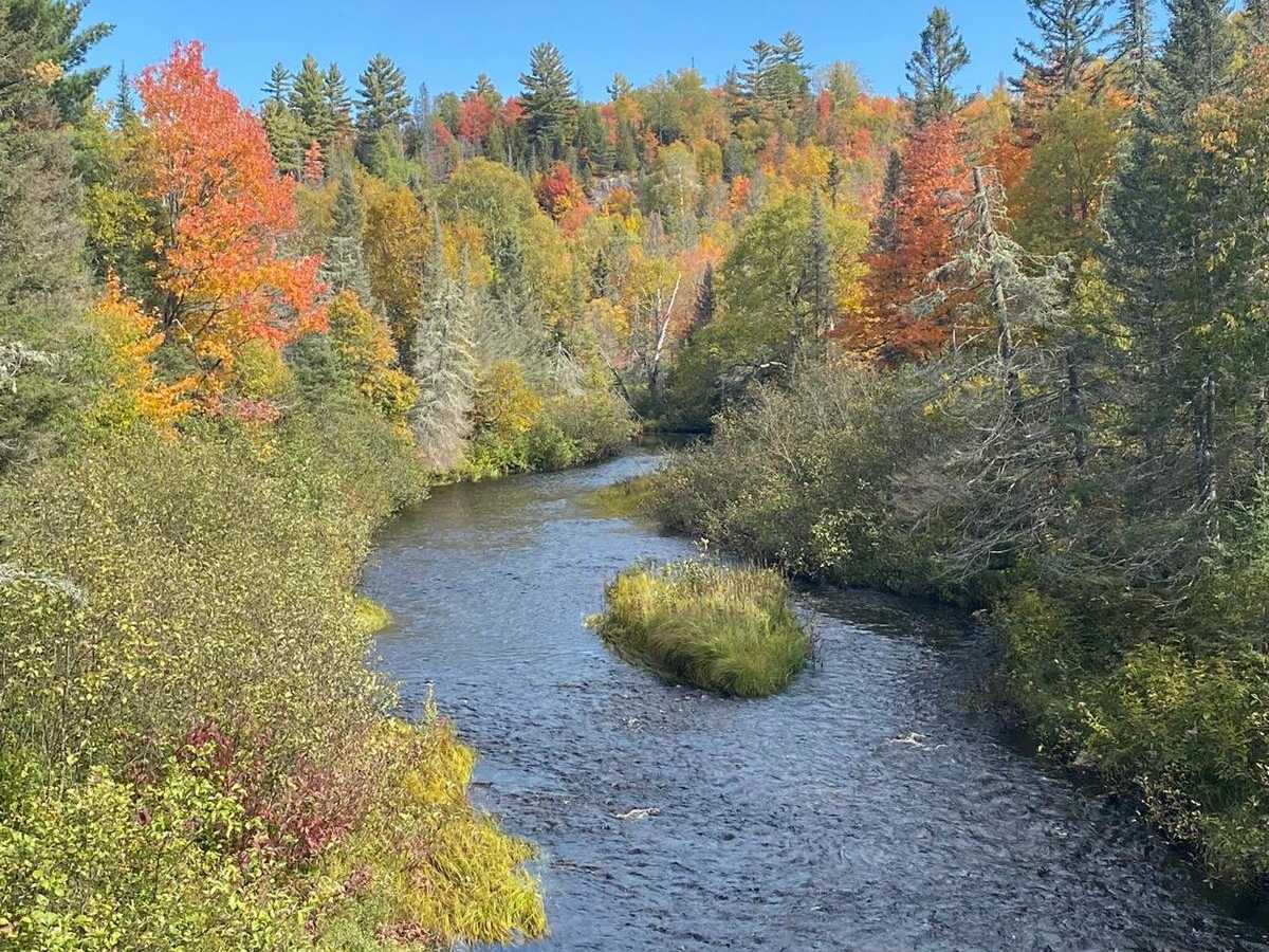 Huron Bay-Peshekee Grade Loop trail photo