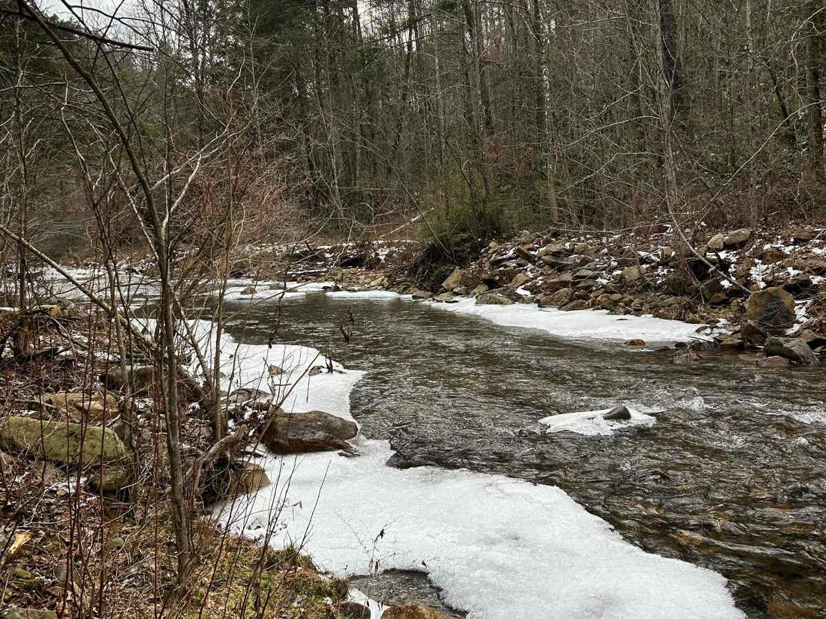 Paint Pond Trail photo 2