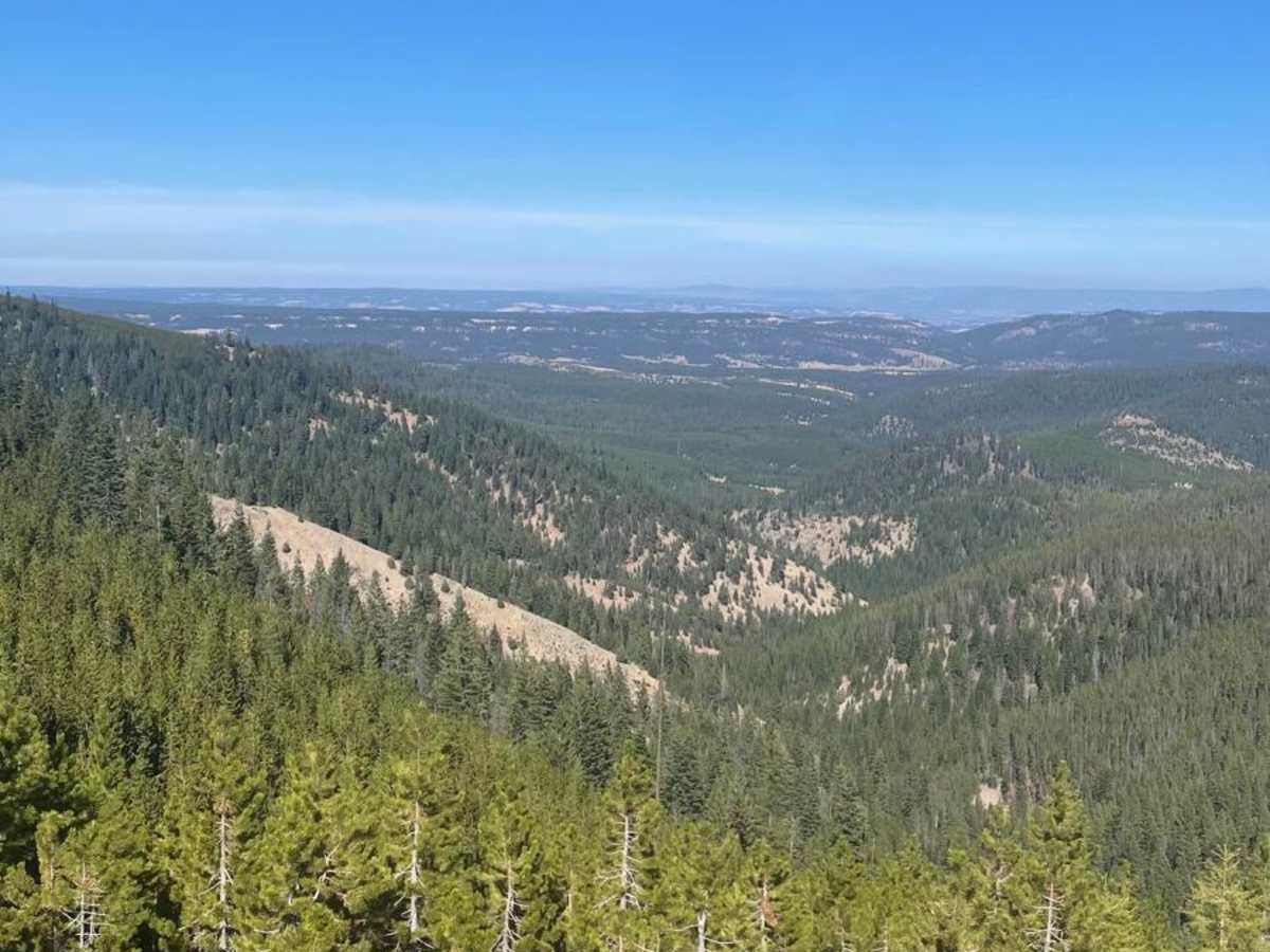 Winom/Frazier OHV Loop photo 6