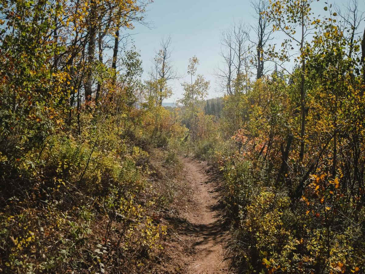 Milepost One Trail photo 5