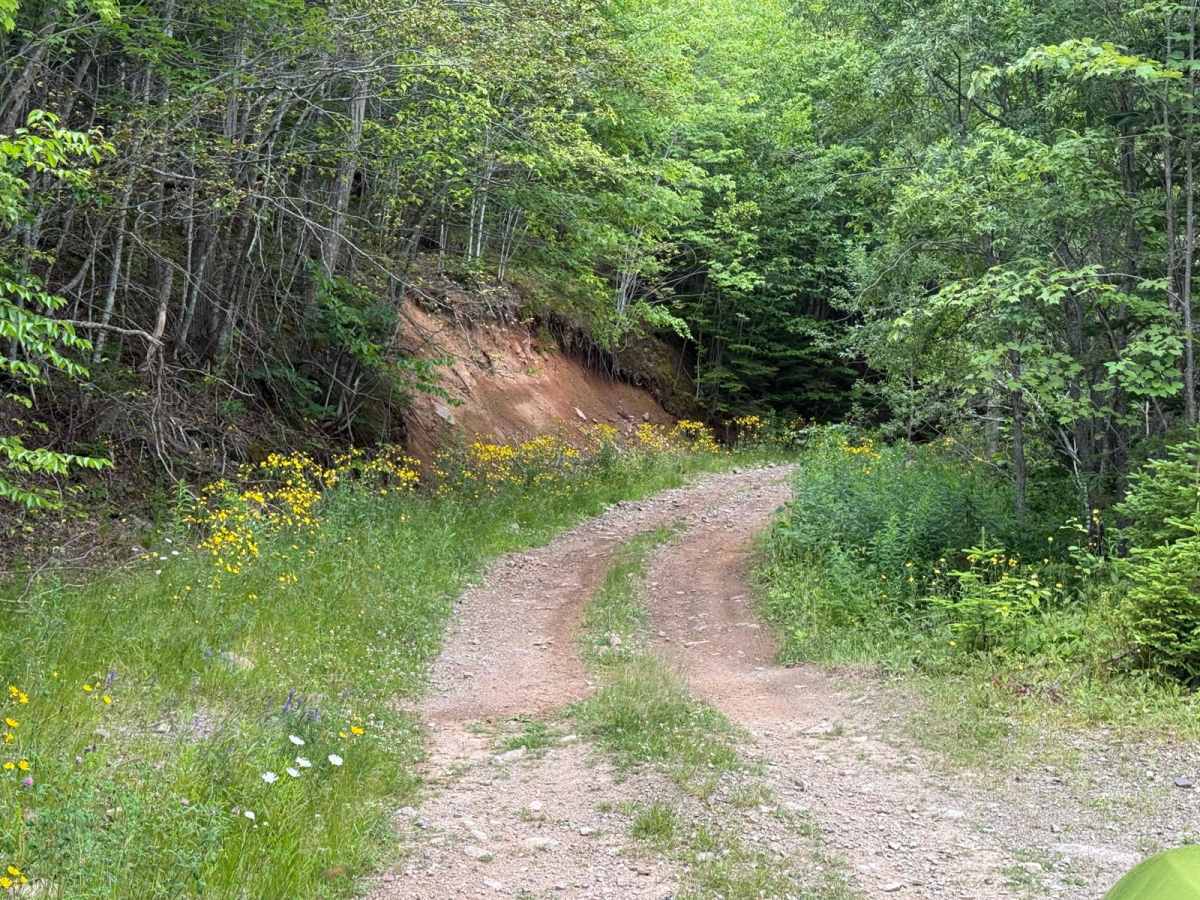 Lewis Mountain Road photo 6