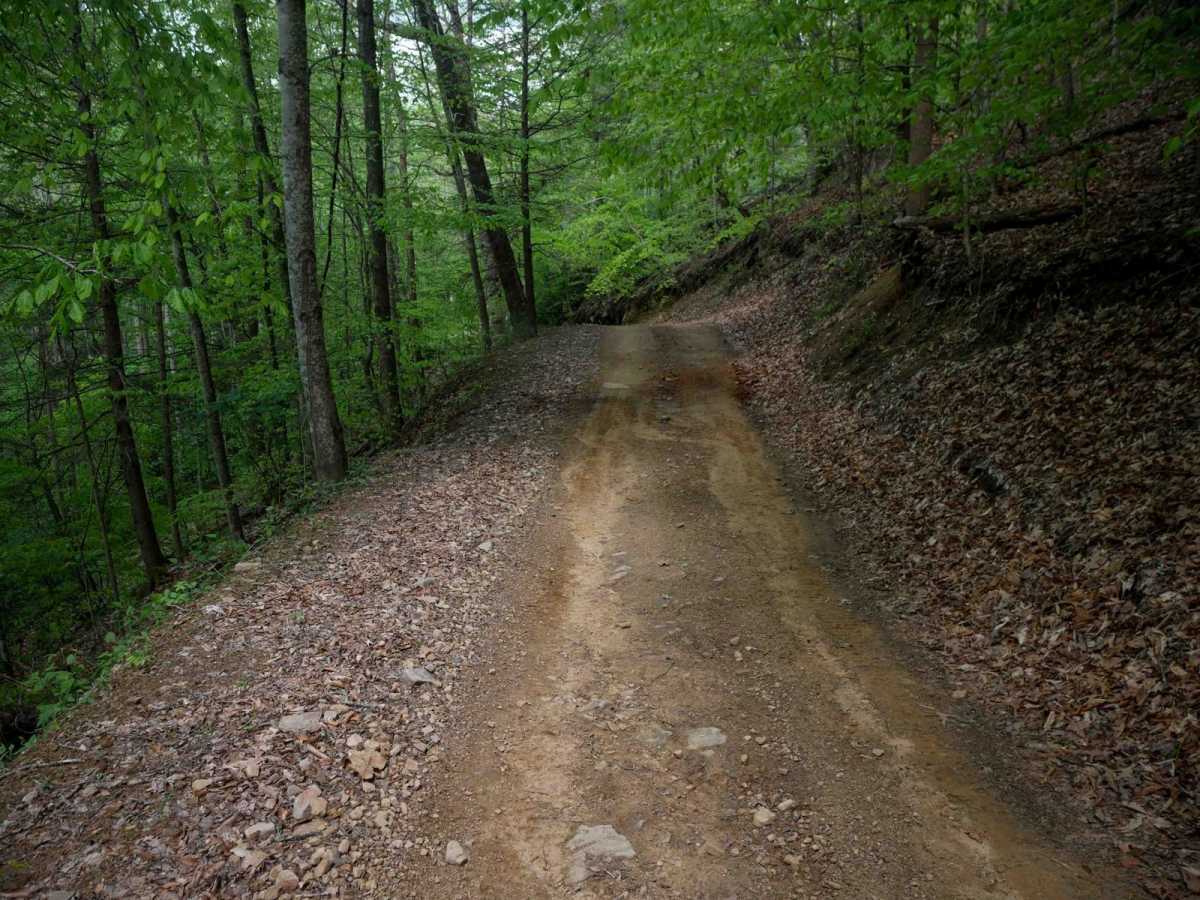 PC 12 photo 5