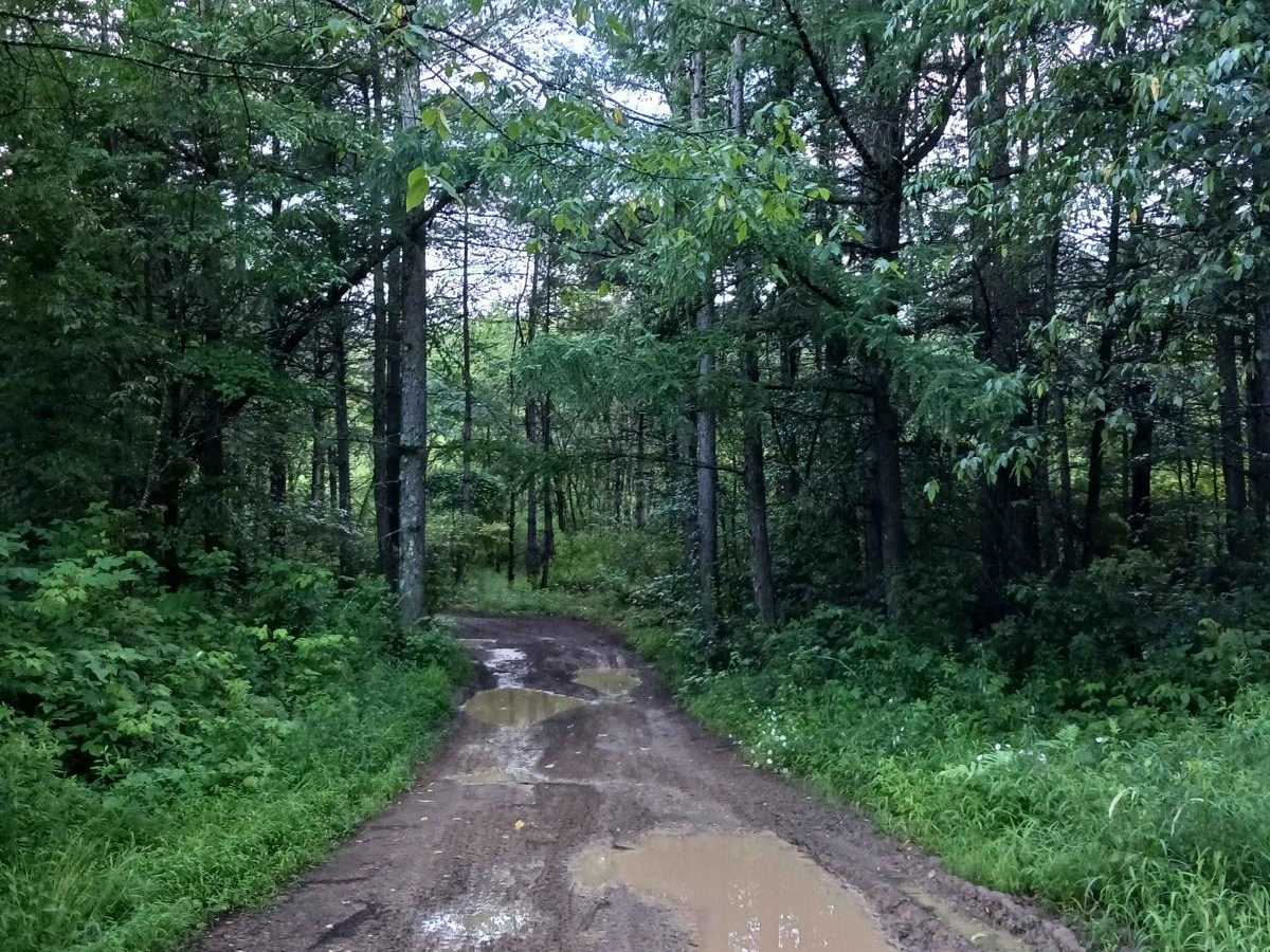 Trail 12K - Rock Run Recreation Area photo 4