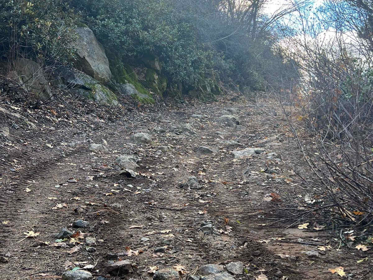 Wrights Crossing photo 6