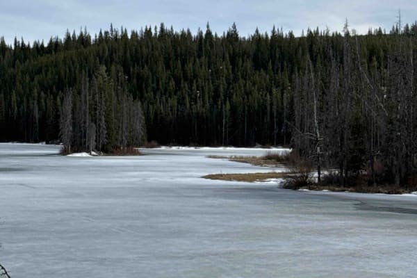 Shrimpton FSR to Buck Lake Recreation Site