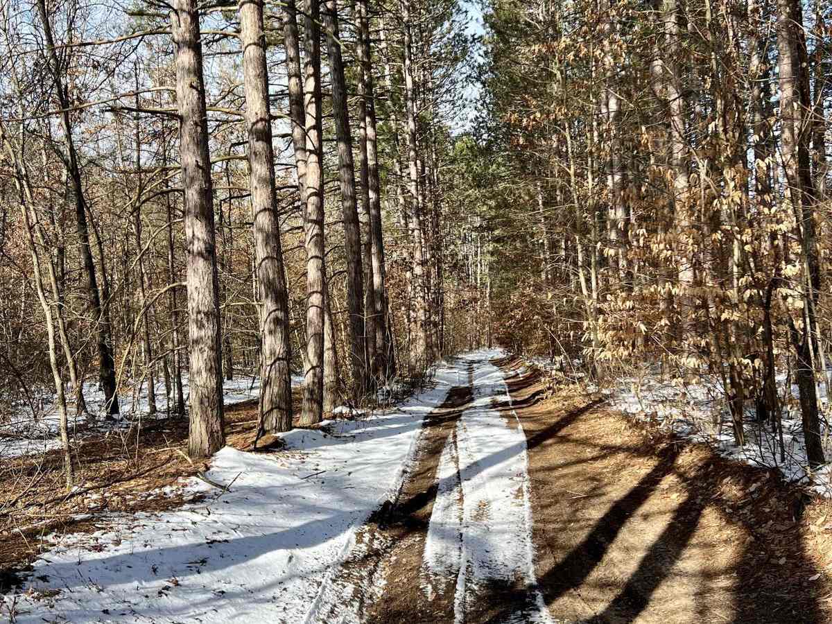 NFS 7988 trail photo