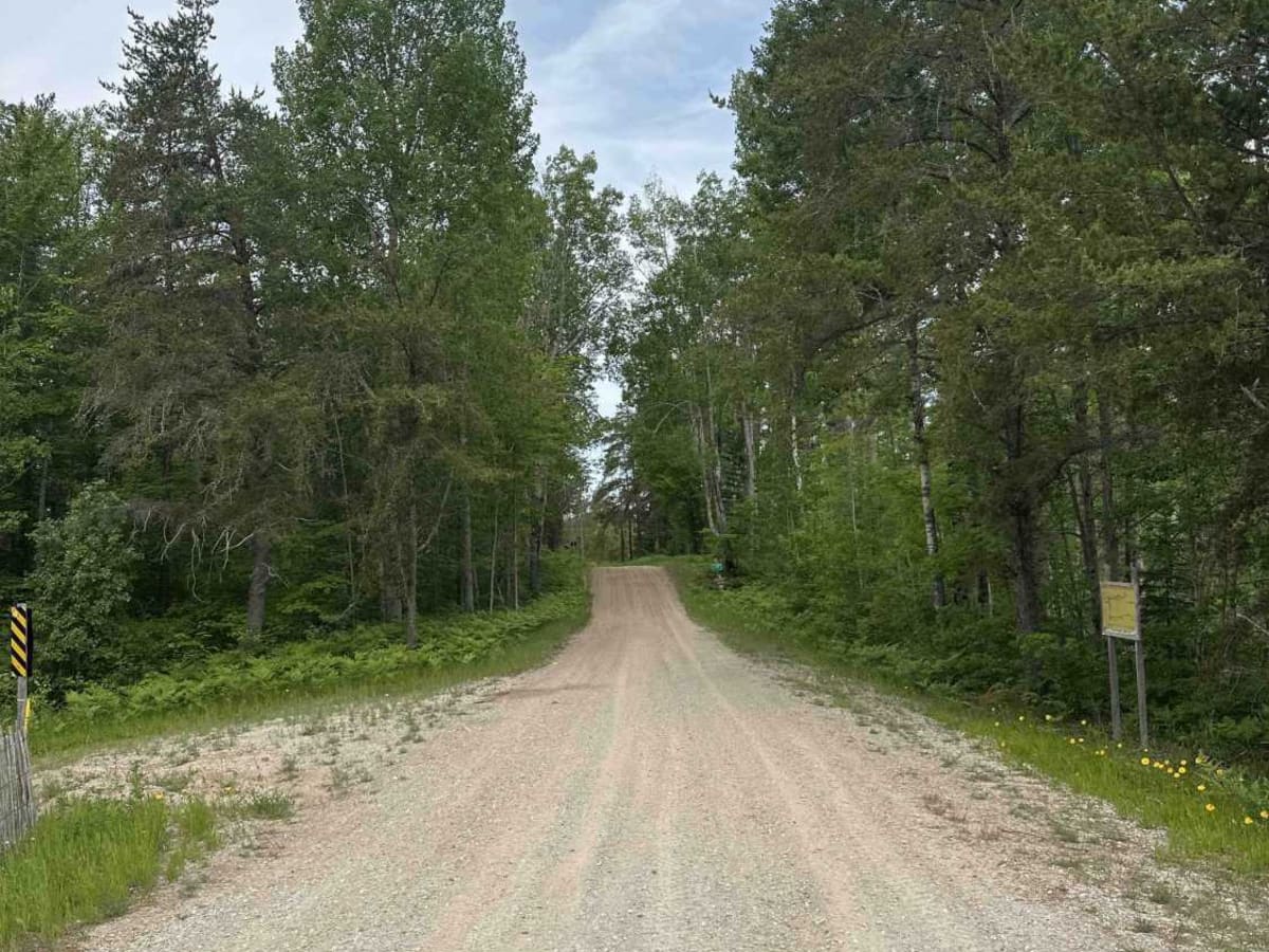 FS 3344 trail photo