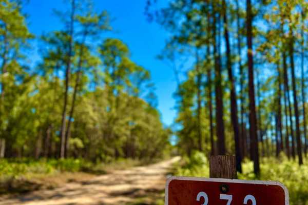 Whites Trail 373