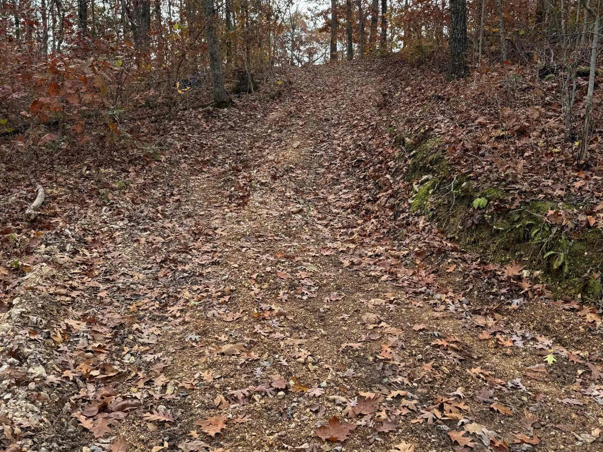 Green 189 photo 5
