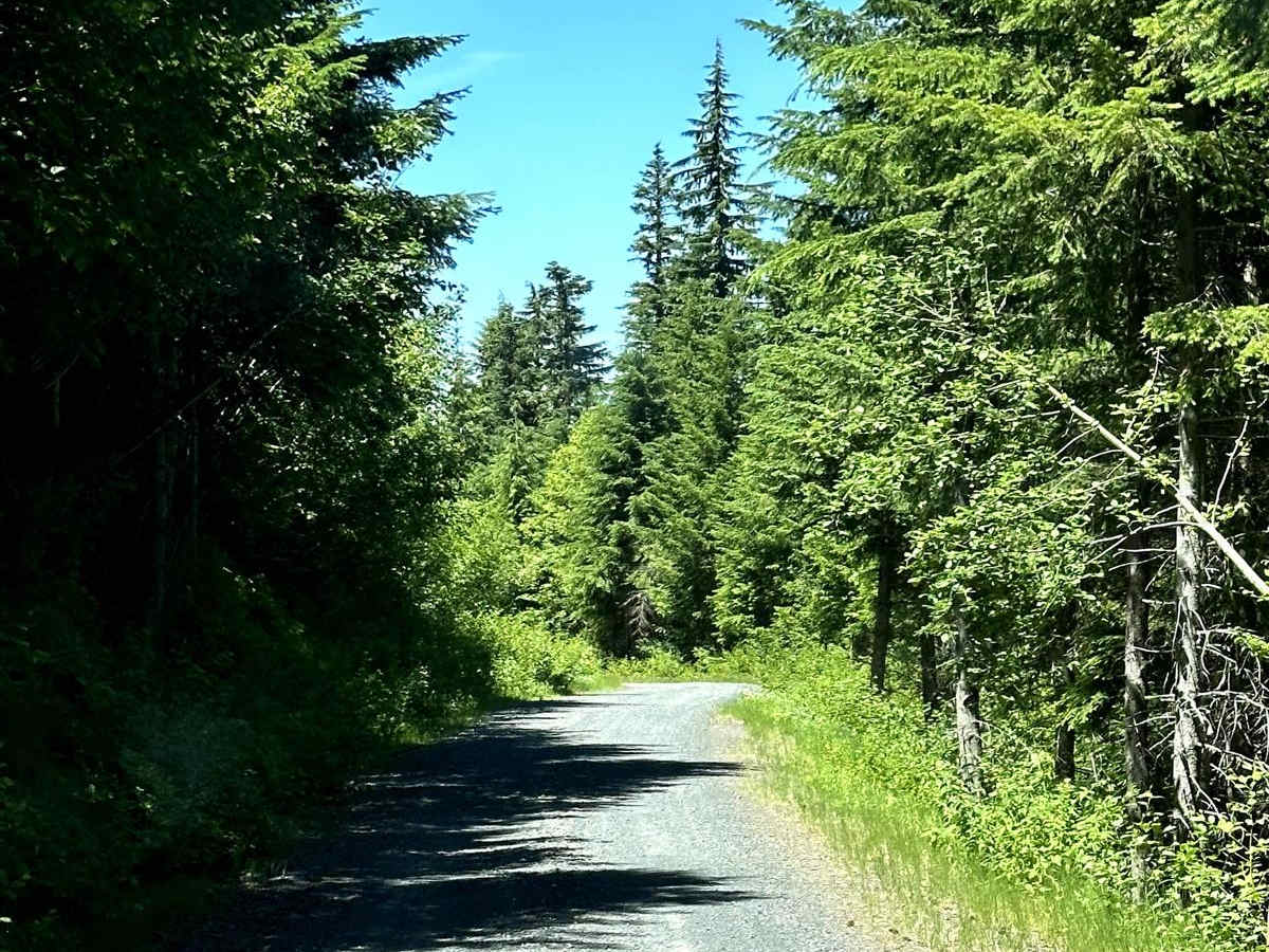Greenhorn Creek Road photo 6