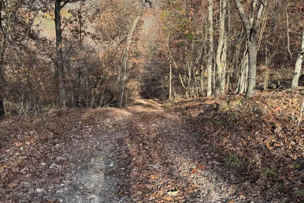 Hixon Hollow 177