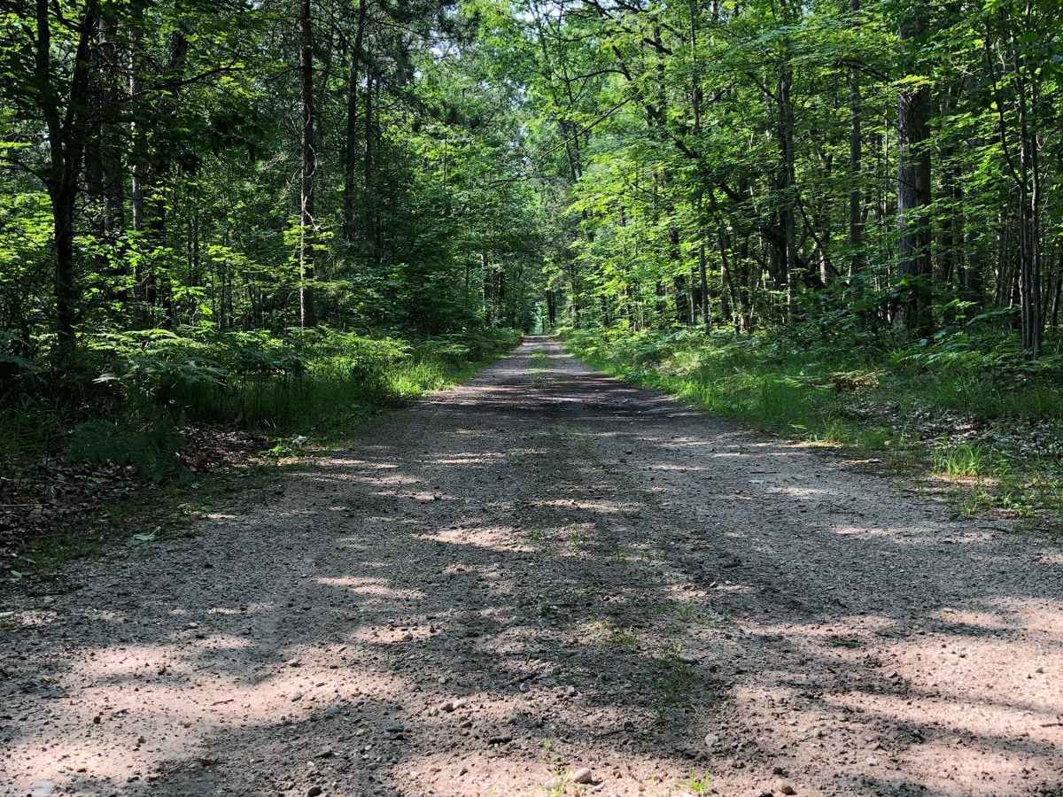 Friedrick Road photo 2