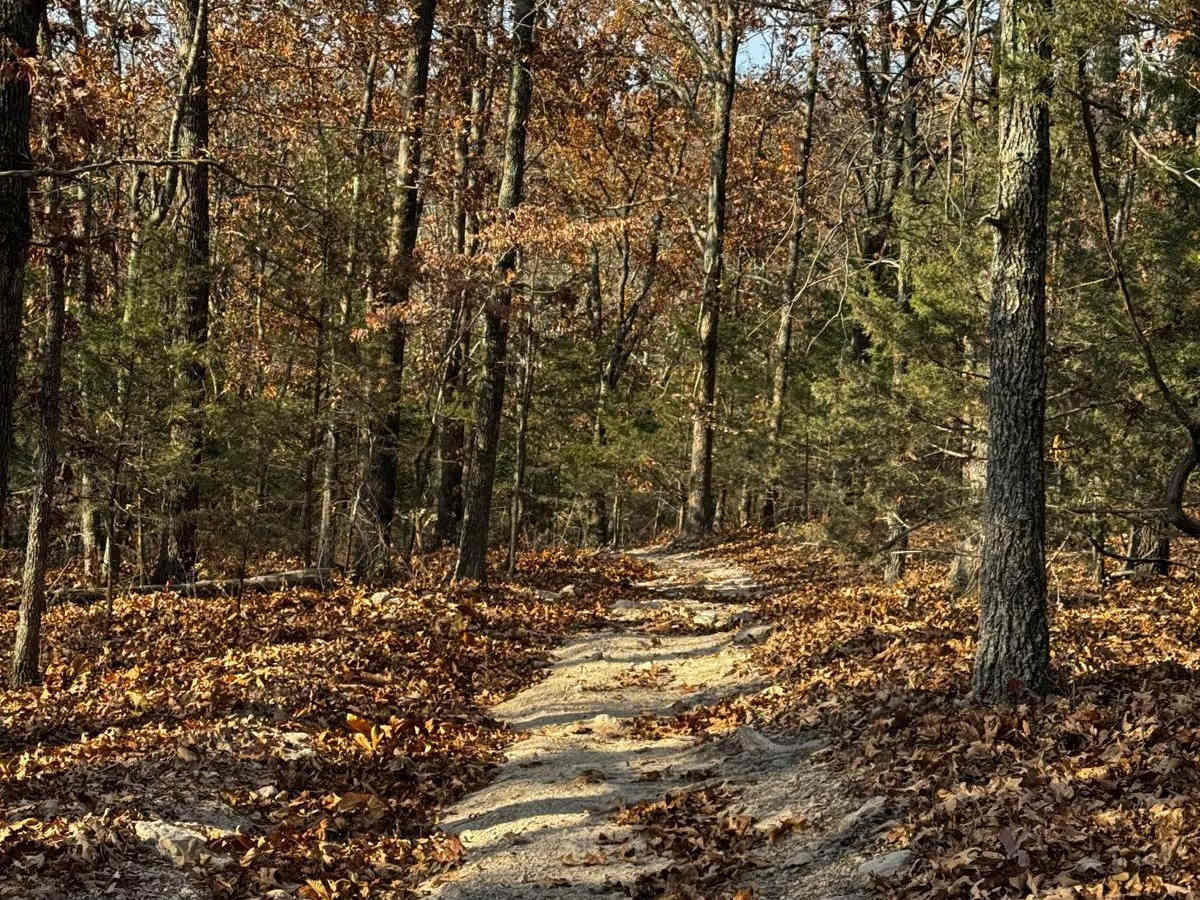 Bluff Run photo 4