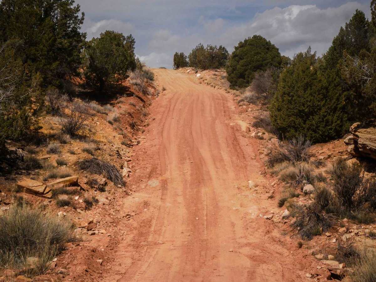 274 Shumway Mines Road photo 2