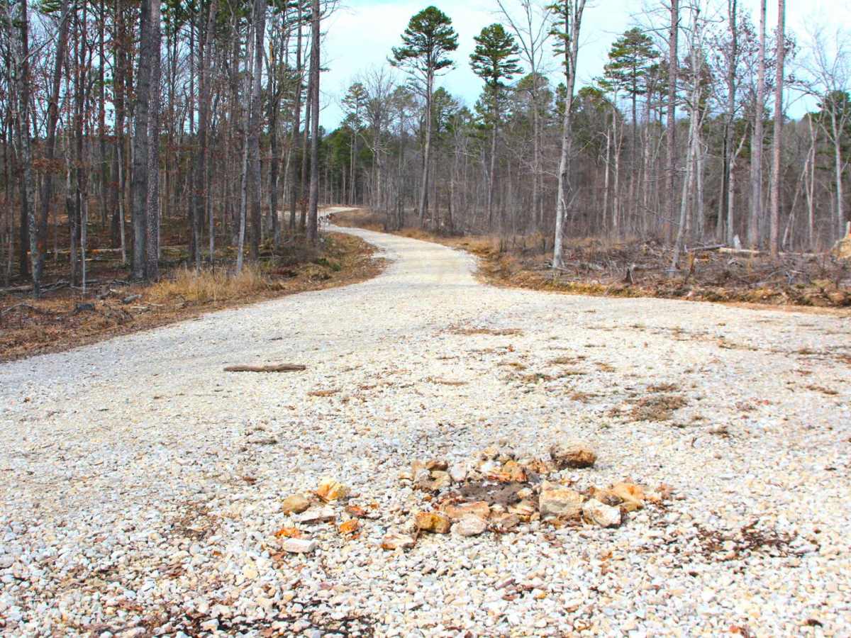 Boiling Ridge - FS 2099 photo 6