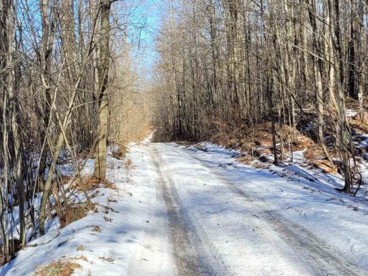 Evart to Sunrise Lake Trail photo 5