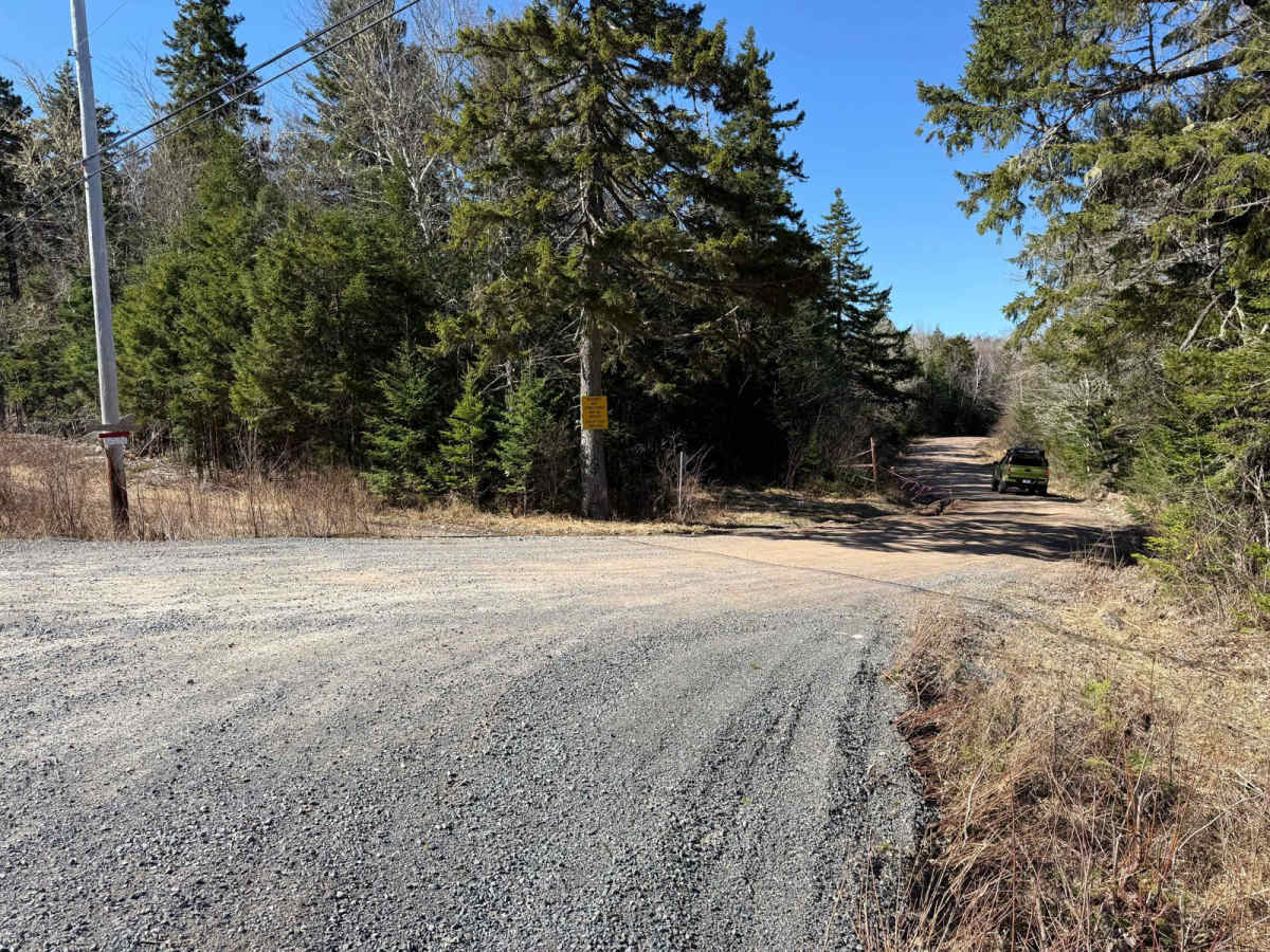 Fire Road photo 4