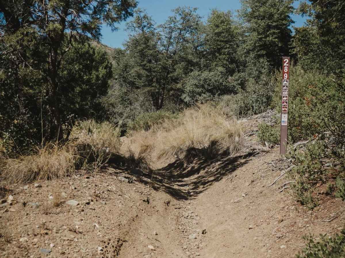 Pine Creek photo 2