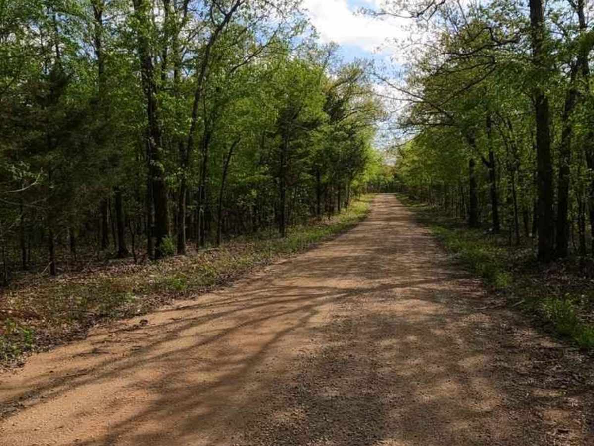 Nine Mile (Marsh Creek FSR 2120) photo 3