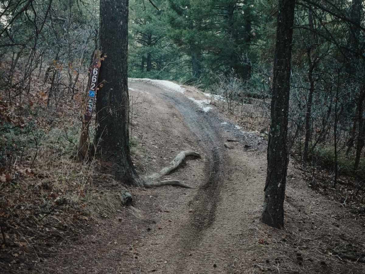 662 ATV Trail trail photo