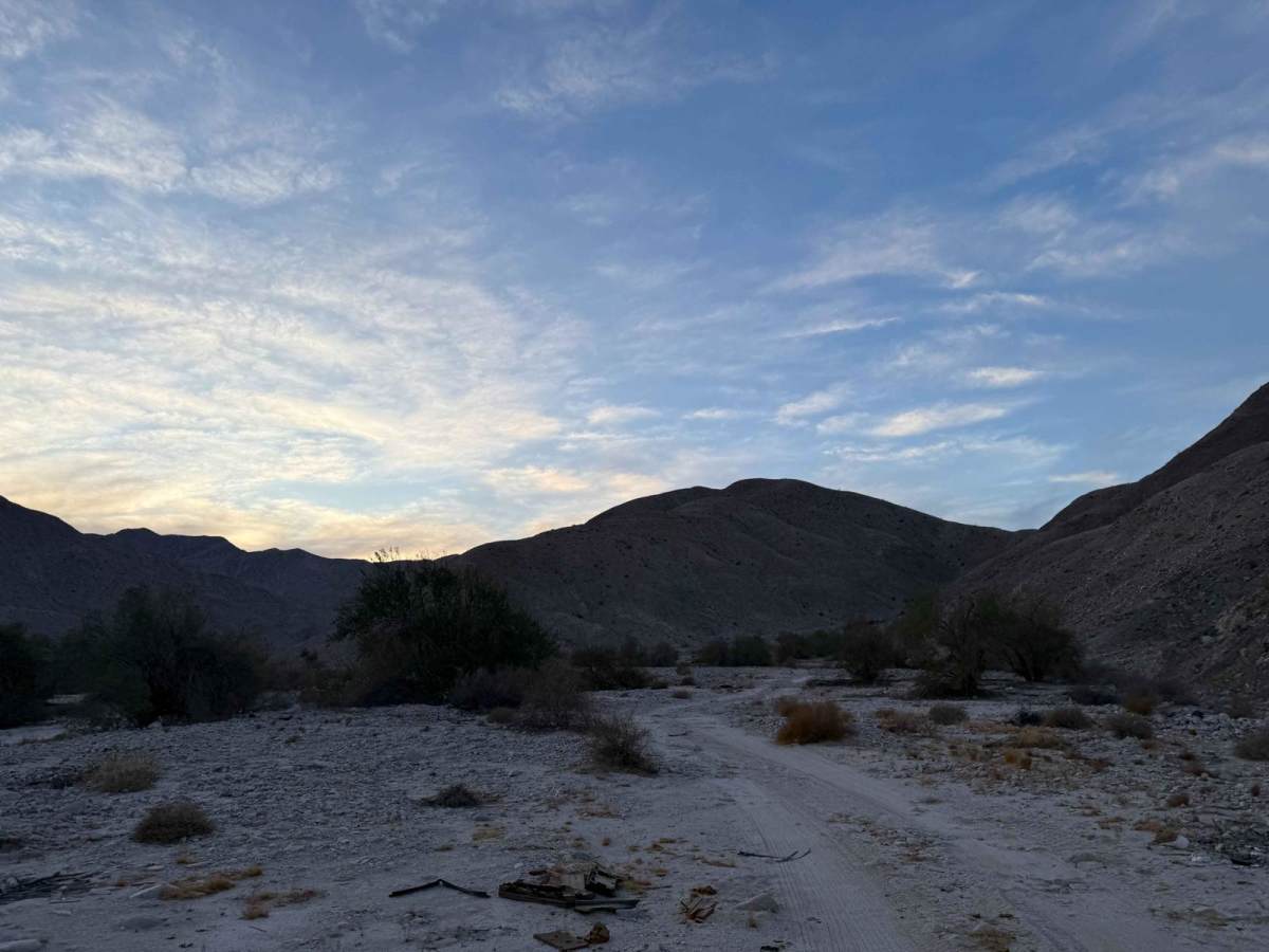 Mexicali Orange photo 4