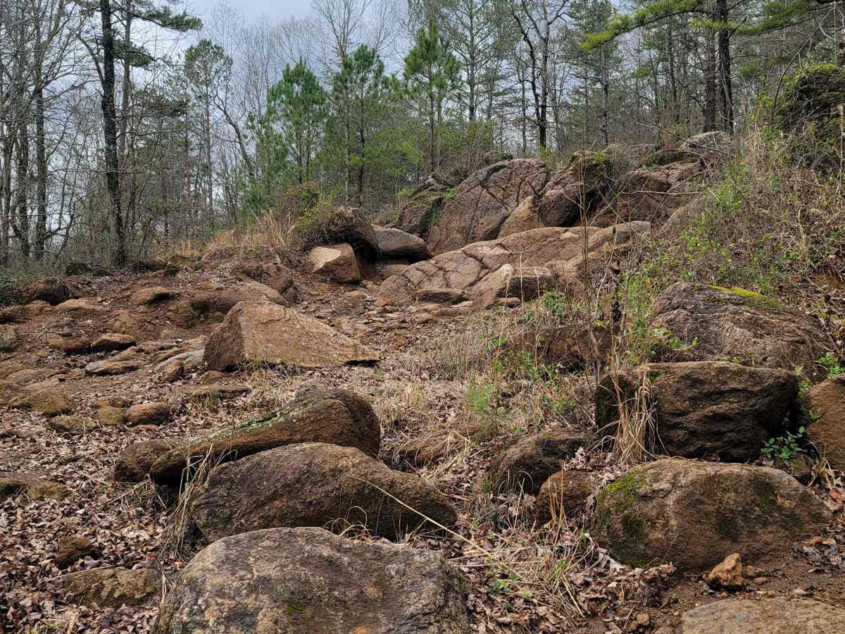 Copperhead photo 5