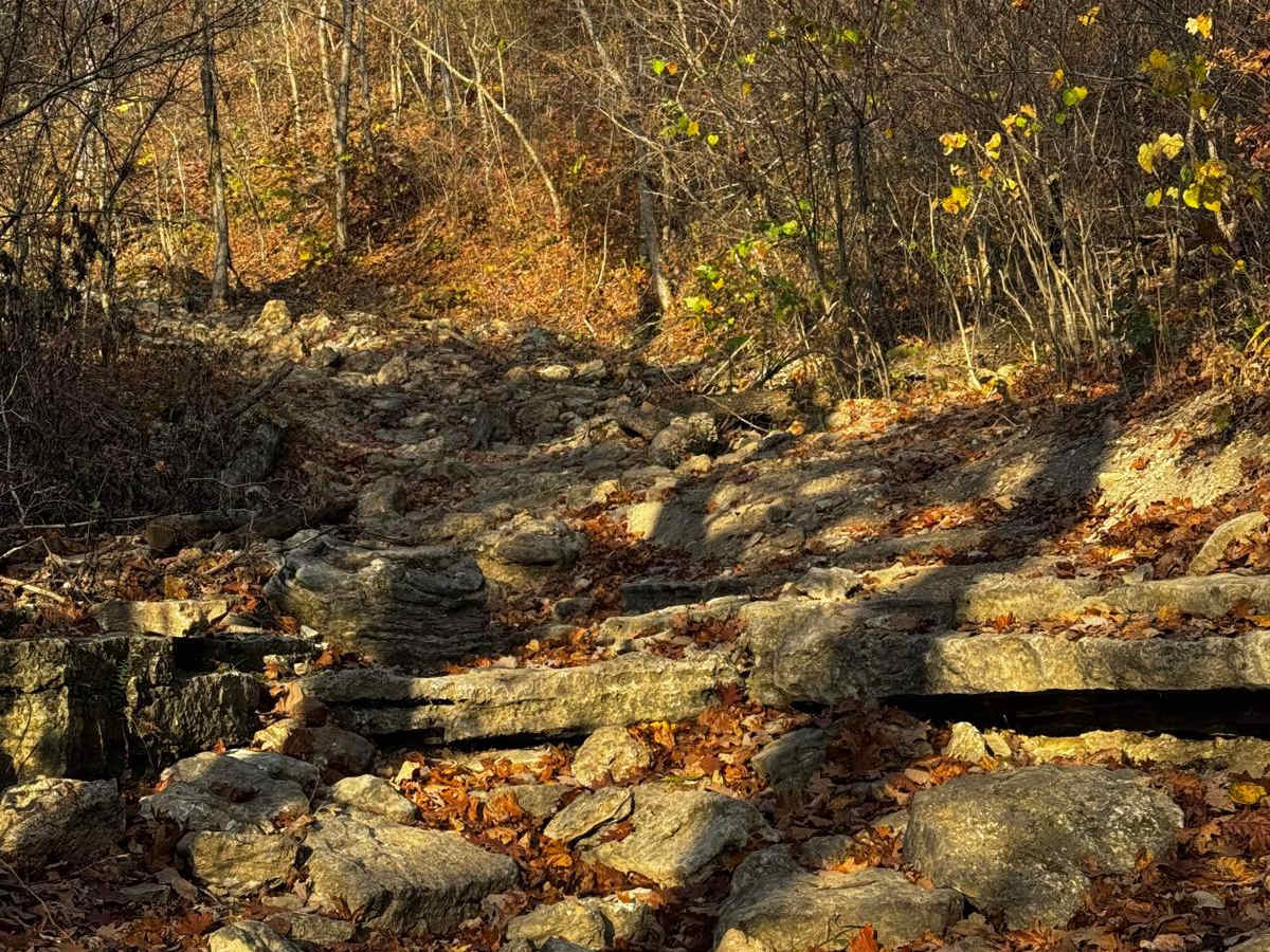 Rocky Road photo 5