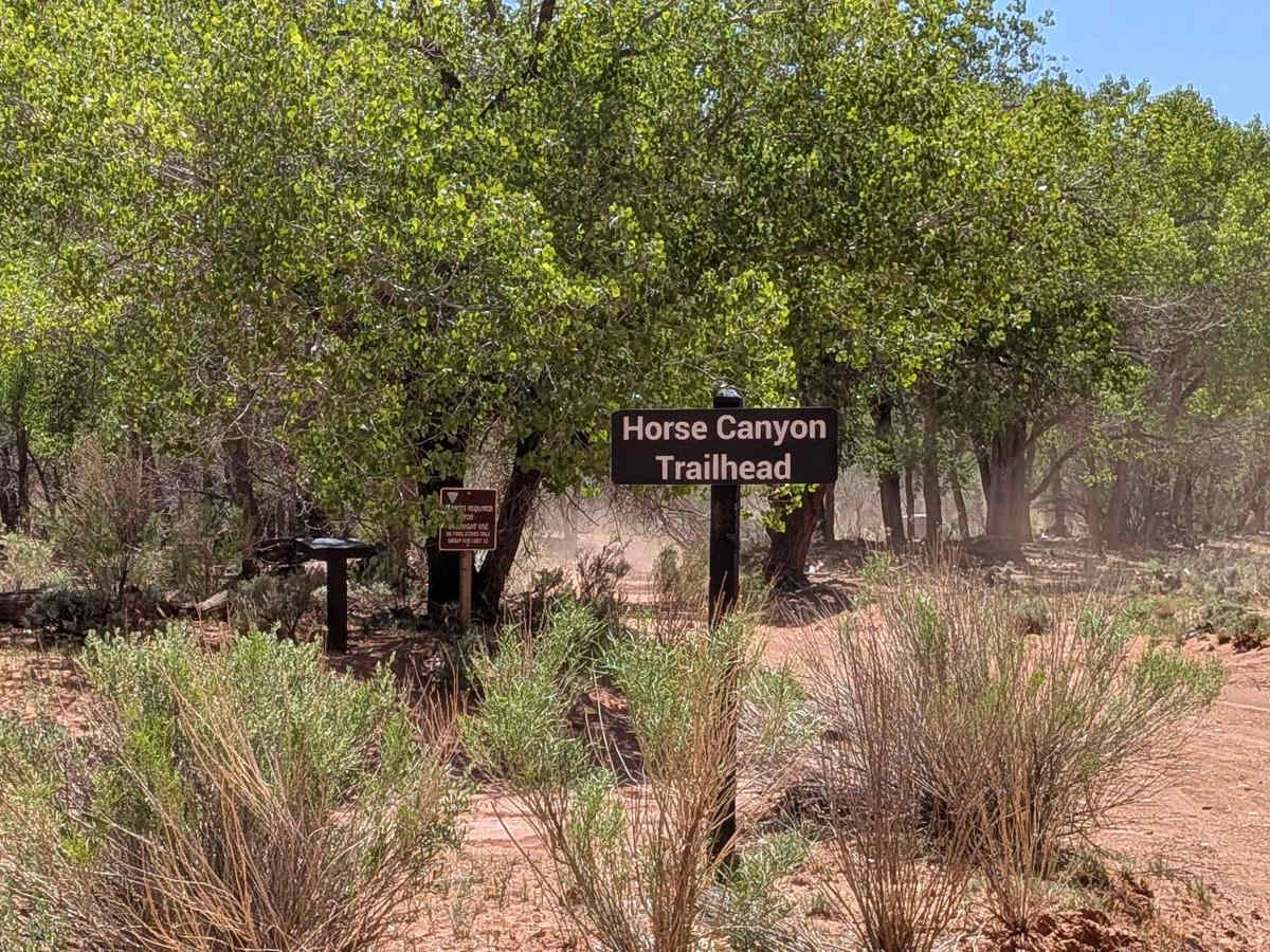 Horseshoe Canyon photo 4