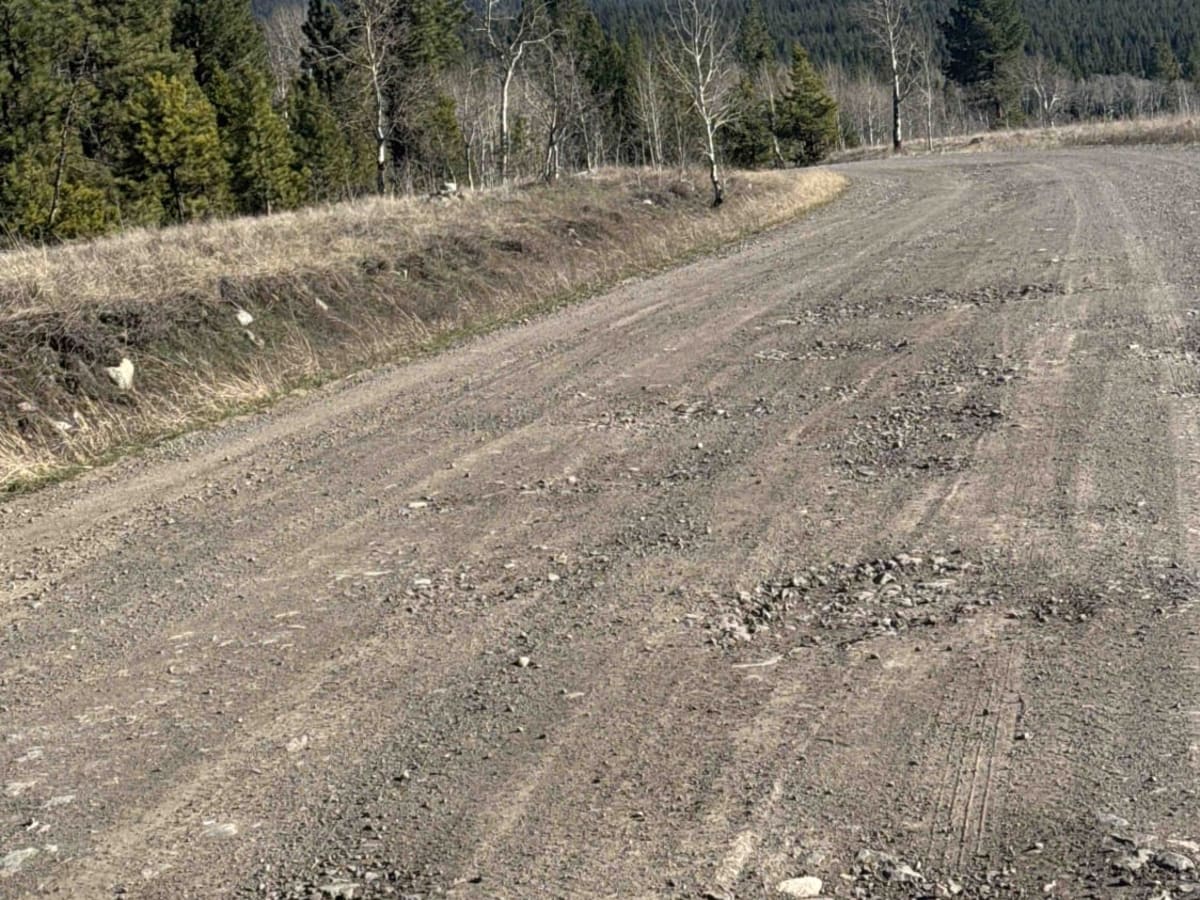 Dillard Creek FSR photo 3