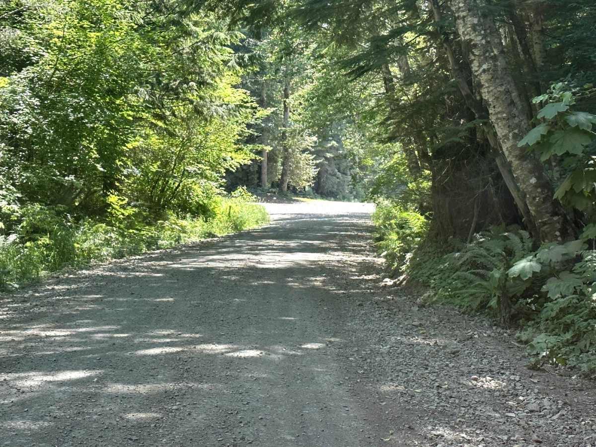 8 Road photo 3