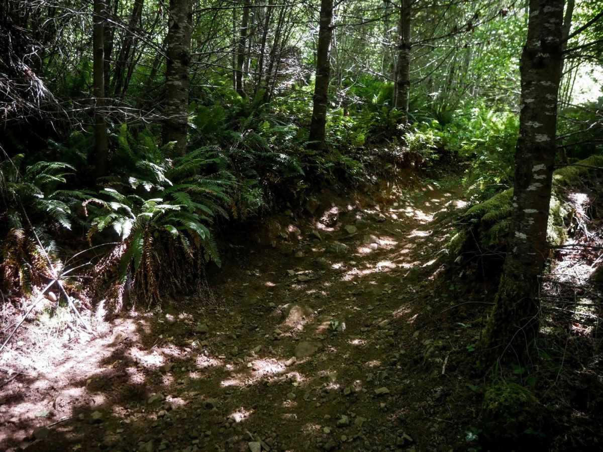 Jordan Creek #84 (Part 2) photo 4