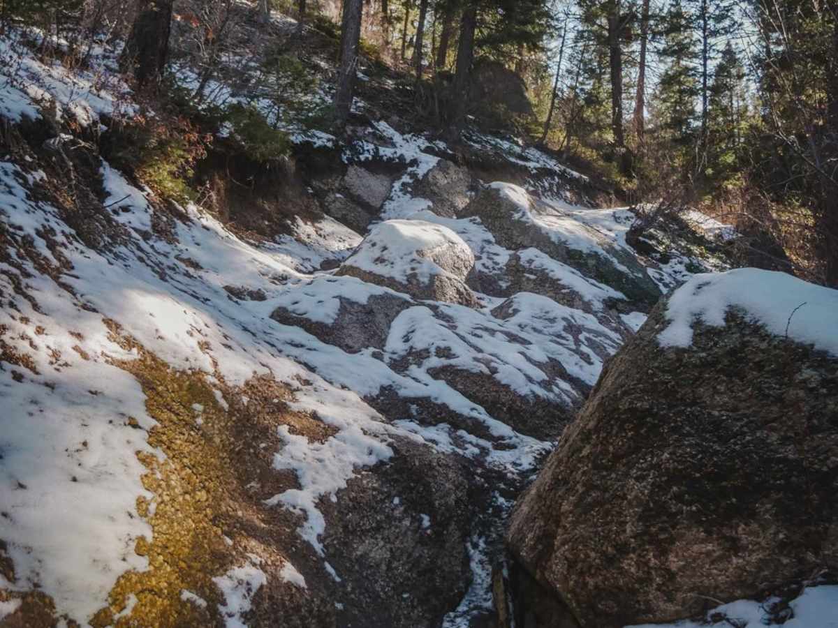 683 Fern Trail photo 4