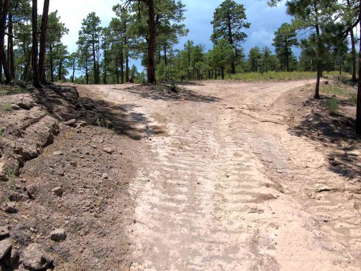 Pajarito - FR 446CC trail photo