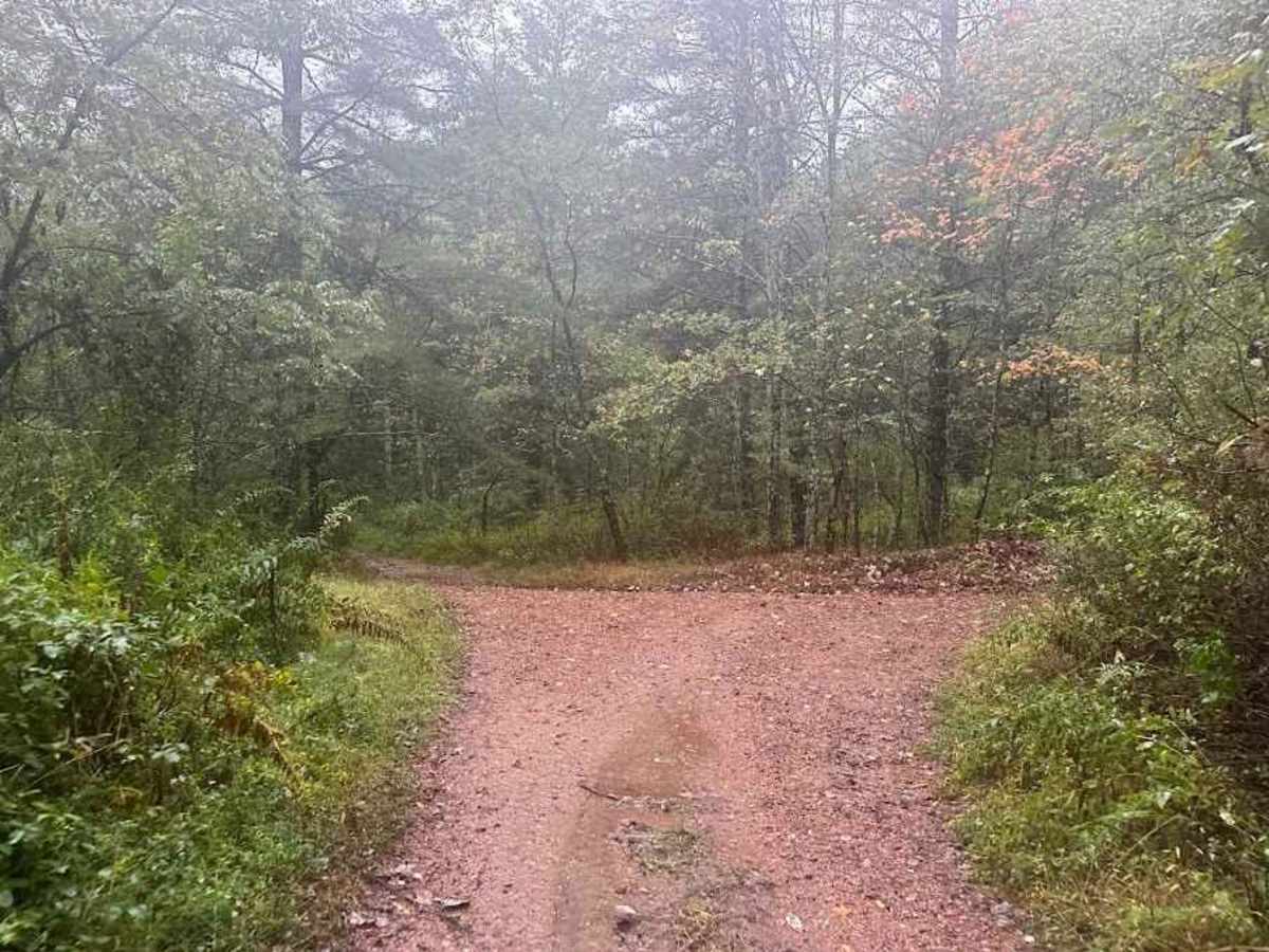 37 Blue trail photo