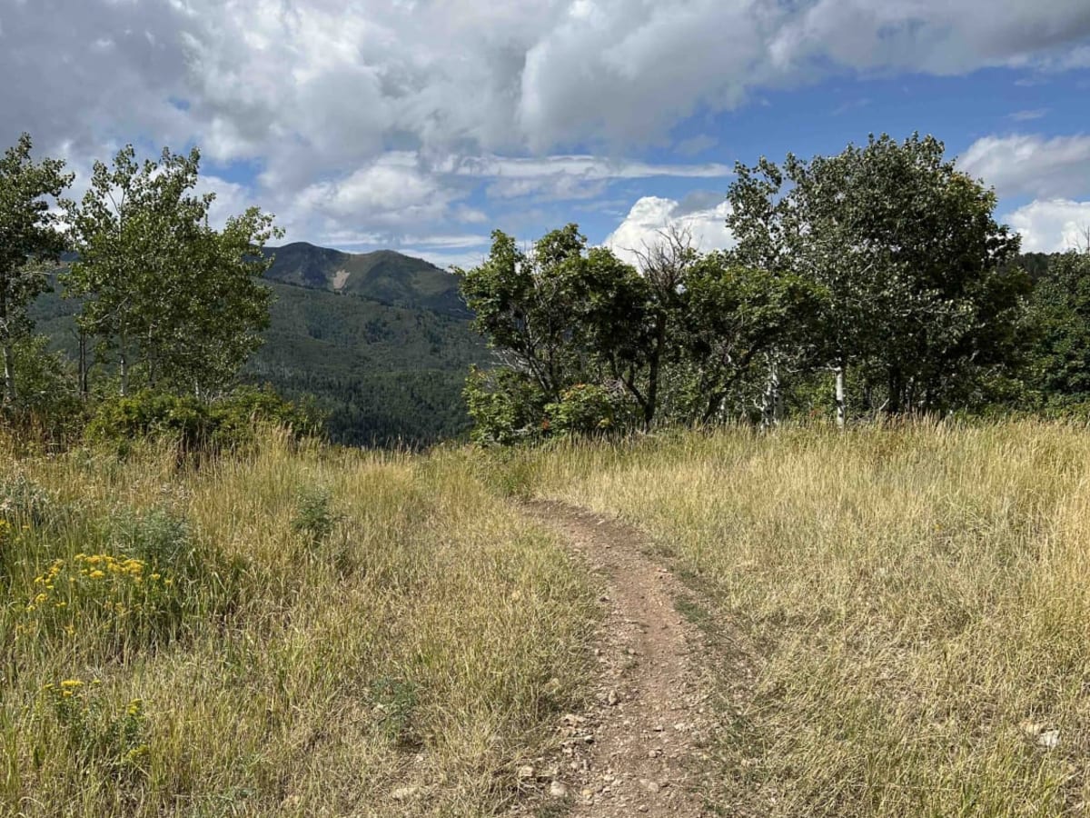 Left Fork Maple Canyon (8006) trail photo