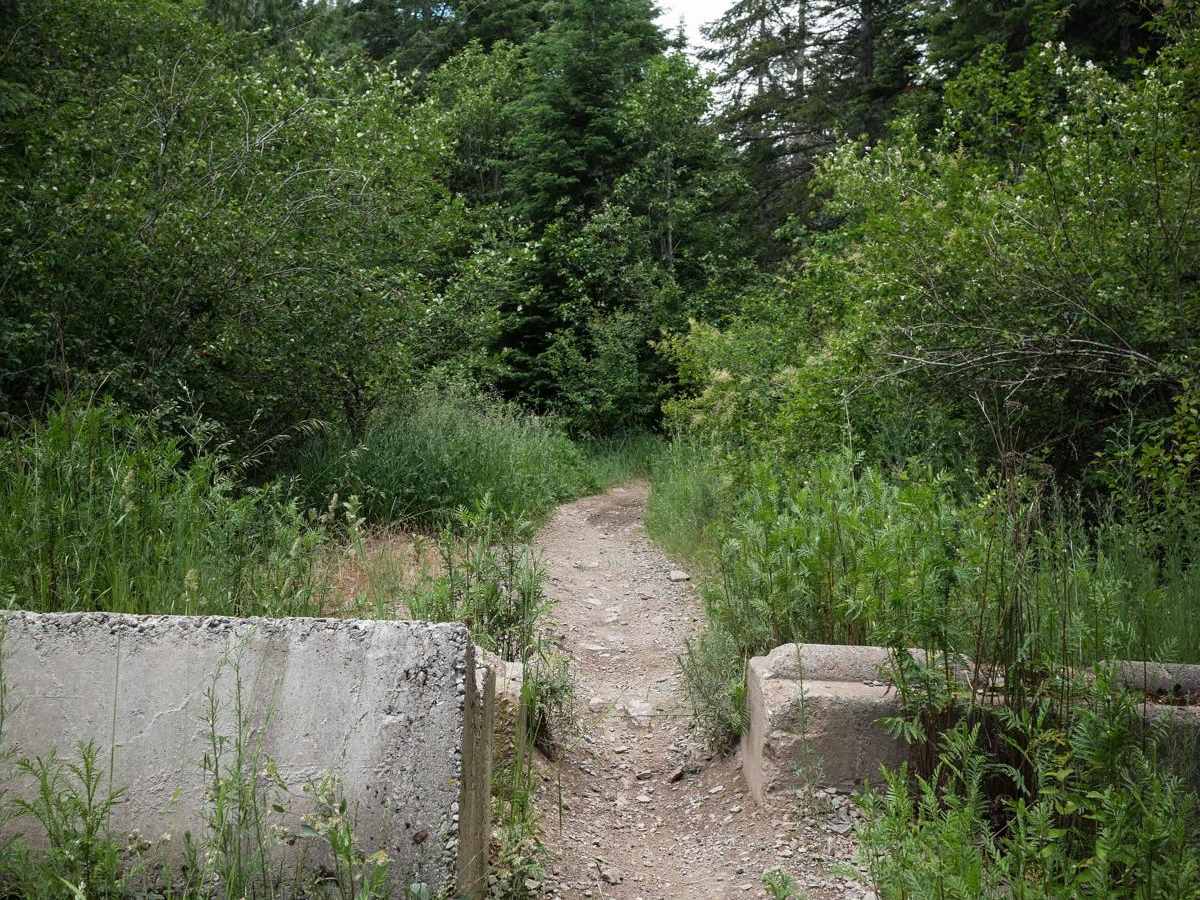 Trail 10 photo 5