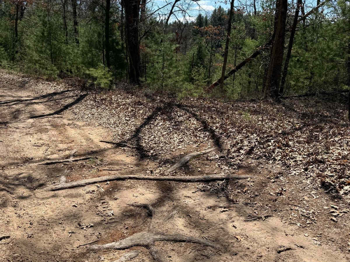 NFS 5114 trail photo