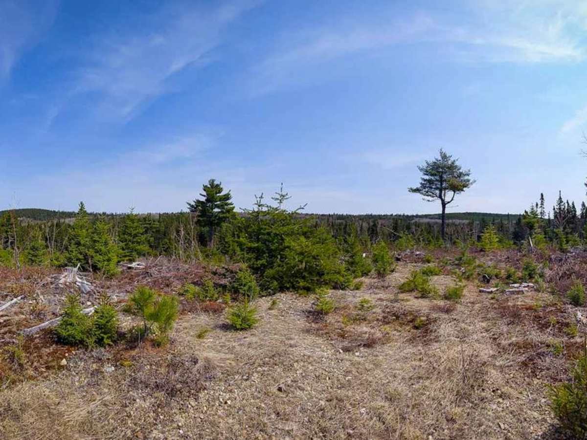 Bowser Trail photo 6