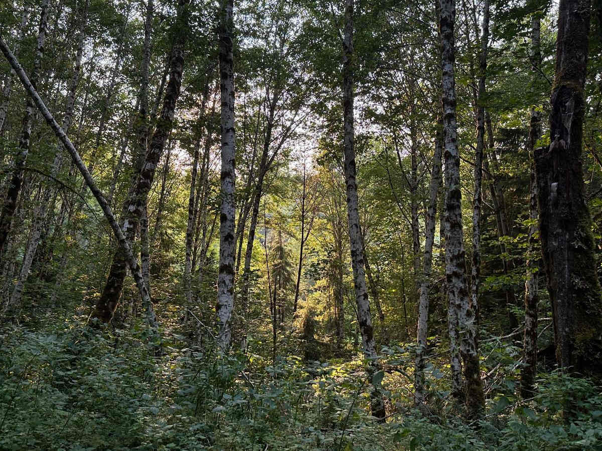 Kilborn Creek photo 4